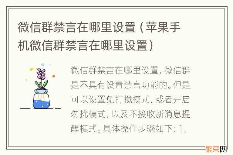 苹果手机微信群禁言在哪里设置 微信群禁言在哪里设置