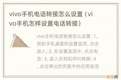 vivo手机怎样设置电话转接 vivo手机电话转接怎么设置