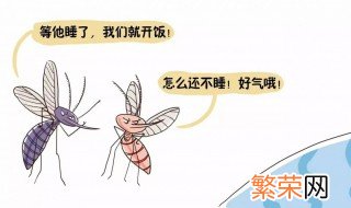 怎么解决蚊子耳边飞 怎么可以解决蚊子