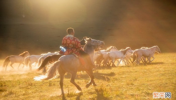 马奶节是哪个民族的节日 马奶节是哪的节日