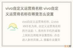 vivo自定义运营商名称 vivo自定义运营商名称在哪里怎么设置