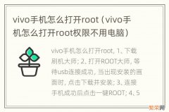 vivo手机怎么打开root权限不用电脑 vivo手机怎么打开root