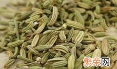 做什么菜适合放小茴香 小茴香做什么菜比较合适