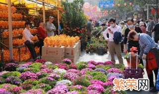 风雨花的花语是什么 风雨花相关介绍