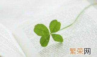 四叶草与二叶草的花语是什么 四叶草与二叶草各代表什么