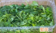 香菜的冷冻储存方法 香菜的冷冻怎么储存