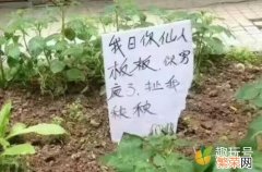 重庆人骂人简单短脏话 四川骂人简单短脏话带图片字母