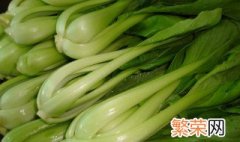 快菜是什么菜 快菜介绍