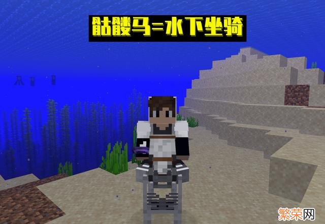 《我的世界》中文Minecraft 我的世界怎样在mc获得一匹骷髅马
