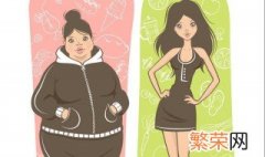 肥和胖有啥区别 关于肥和胖的区别