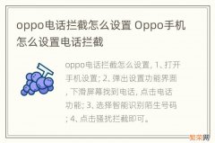 oppo电话拦截怎么设置 Oppo手机怎么设置电话拦截