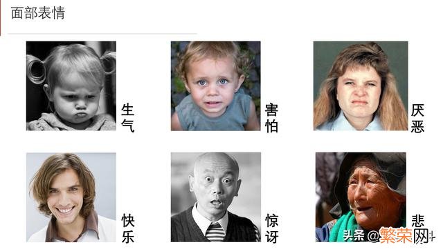 脸部七个微表情心理学基础 微信表情含义图解大全人脸