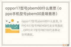 oppo手机型号pbem00是啥意思 oppor17型号pbem00什么意思