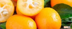 金桔和橘子有什么区别 金桔与金橘的区别