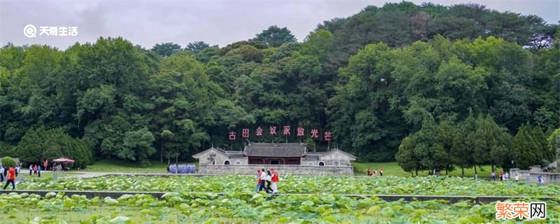 福建为什么有两个古田 福建古田是什么地方