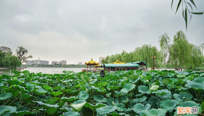 大明湖在哪个省哪个城市 大明湖位于哪