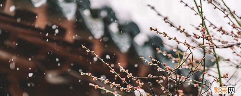 下雪路滑注意安全的话 有哪些注意下雪天安全的句子