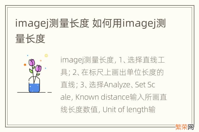 imagej测量长度 如何用imagej测量长度