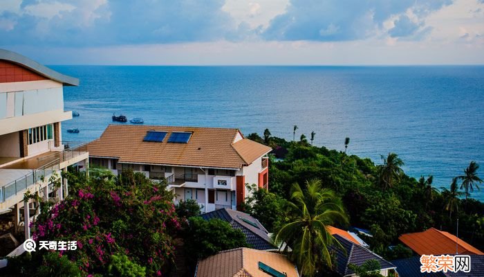 面朝大海春暖花开赏析 面朝大海春暖花开原文