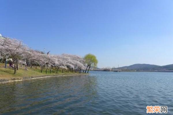 最好详细一点。 韩国最好的旅游景点是哪里