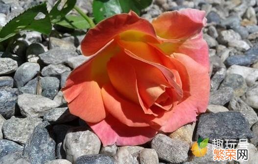 文案朋友圈文艺 朋友圈文案文艺范