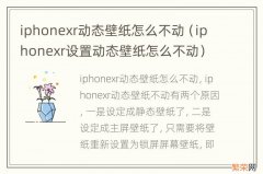 iphonexr设置动态壁纸怎么不动 iphonexr动态壁纸怎么不动