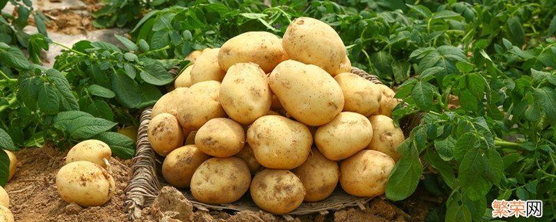 晚上切好的土豆丝怎么保存 晚上切好的土豆丝该要怎么保存