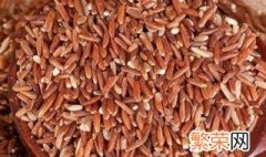 红米的功效及食用方法 红米对人体的好处