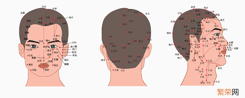 悬针纹和福针纹的区别 悬针纹和福针纹有什么区别