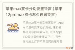 苹果12promax双卡怎么设置铃声 苹果max双卡分别设置铃声