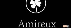 amireux是什么意思 Amireux寓意