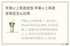 苹果xr上网速度慢 苹果xr上网速度慢是怎么回事