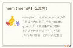 mem是什么意思 mem