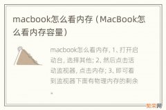 MacBook怎么看内存容量 macbook怎么看内存