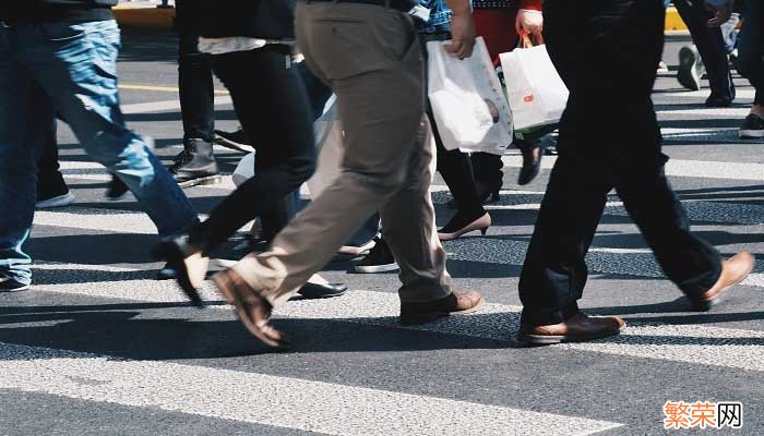 满族现在主要在哪个省 满族大多数在哪个省