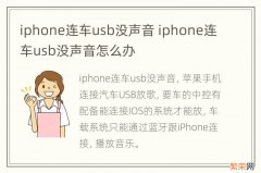 iphone连车usb没声音 iphone连车usb没声音怎么办