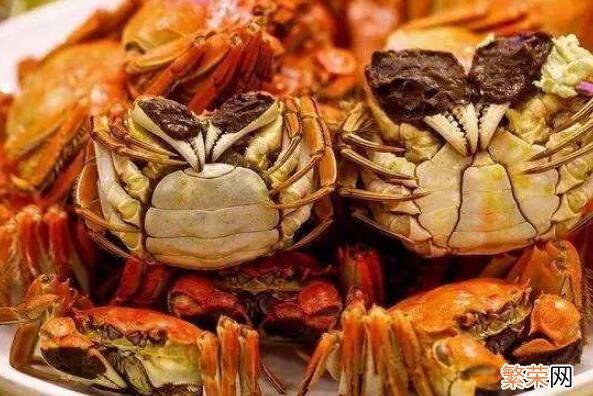 哪里产的螃蟹最好吃 中国哪里的螃蟹最好吃