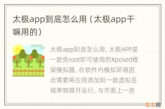 太极app干嘛用的 太极app到底怎么用