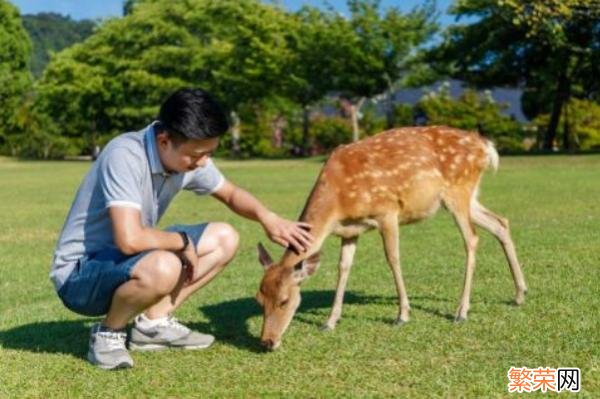 很多连日本人都不知道 日本有哪些好玩的景点