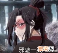 蓝忘机魏无羡开车超污 魔道祖师忘羡开车长图