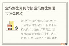 盒马鲜生如何付款 盒马鲜生鲜超市怎么付款