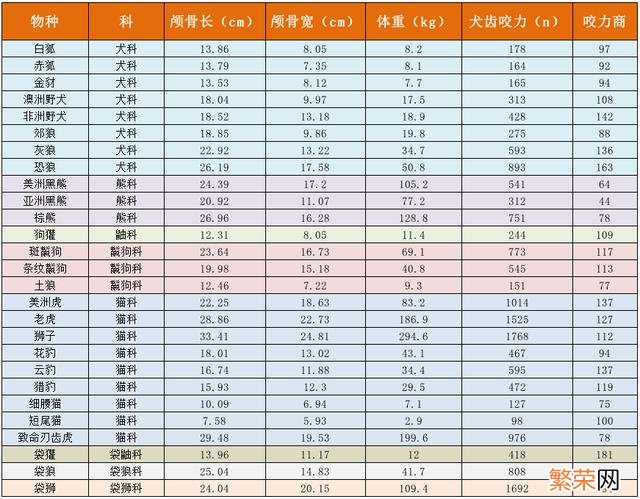 到底谁更厉害 藏獒和狼谁厉害