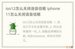 ios12怎么关闭语音信箱 iphone11怎么关闭语音信箱