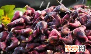 菱角怎么存放 保存菱角方法