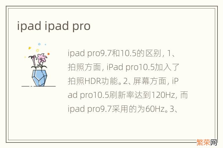 ipad ipad pro