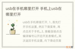 usb在手机哪里打开 手机上usb在哪里打开