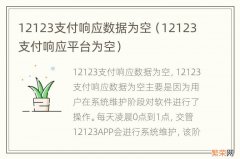 12123支付响应平台为空 12123支付响应数据为空