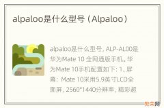 Alpaloo alpaloo是什么型号