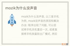 mozik为什么没声音