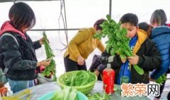 择菜洗菜的正确方法 择菜洗菜方法如下